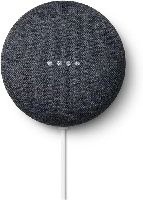 Google Nest Mini Google Assistant