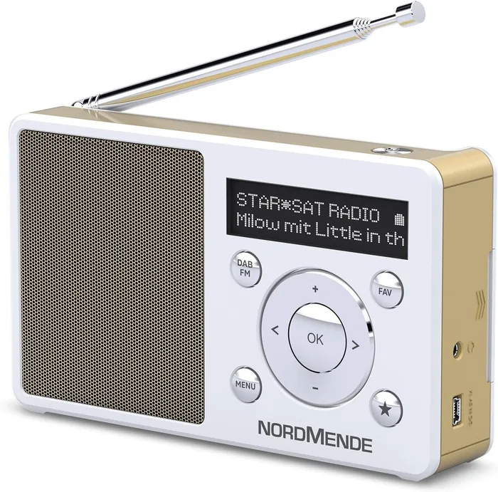 Nordmende Transita 100 radio DAB FM portatile economica sotto 50 euro