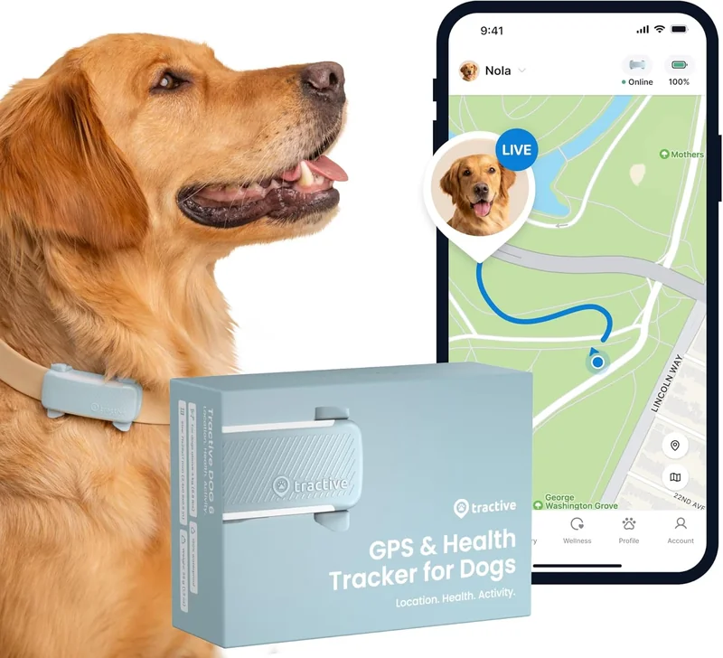 Tractive GPS cane 2025 collare localizzazione real-time