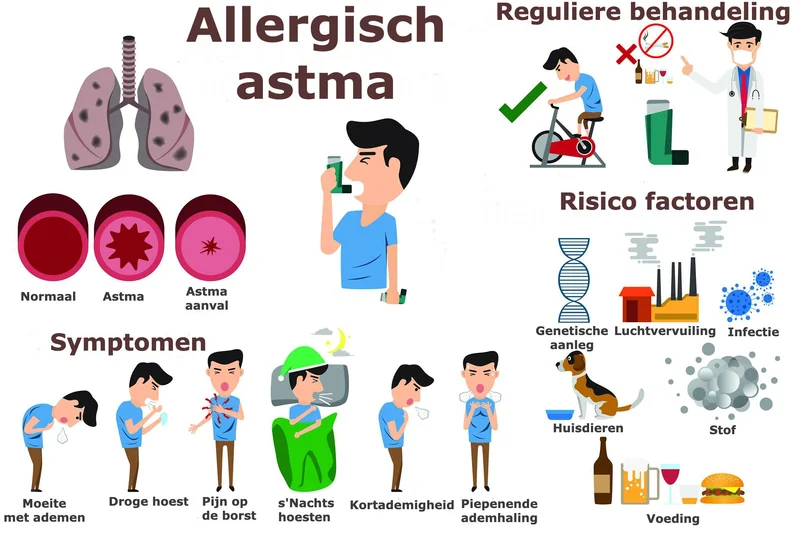 Casa allergici purificatore aria HEPA acari polline soluzioni device