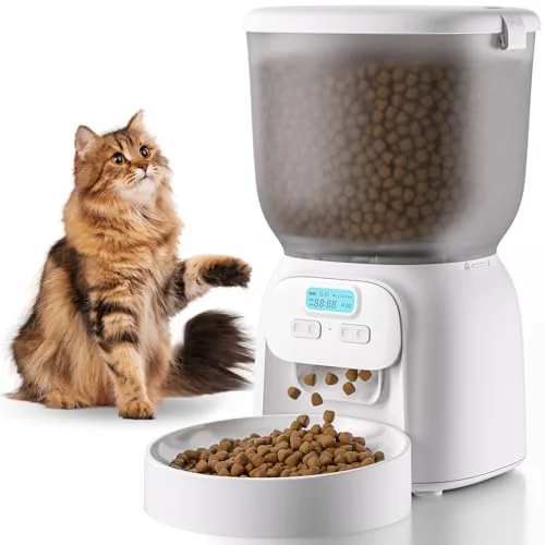 Mangiatoia automatica per gatti con cibo dispensato in ciotola